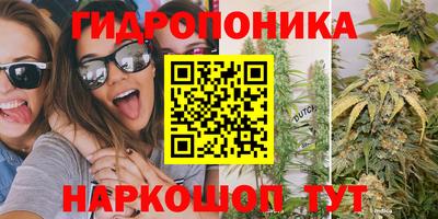 крисы Краснокаменск