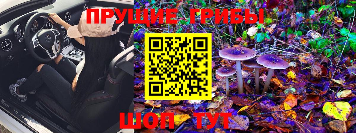 закладки  Псилоцибиновые грибы Magic Shrooms  Вход с VPN  Елец  Псилоцибиновые грибы прущие грибы 